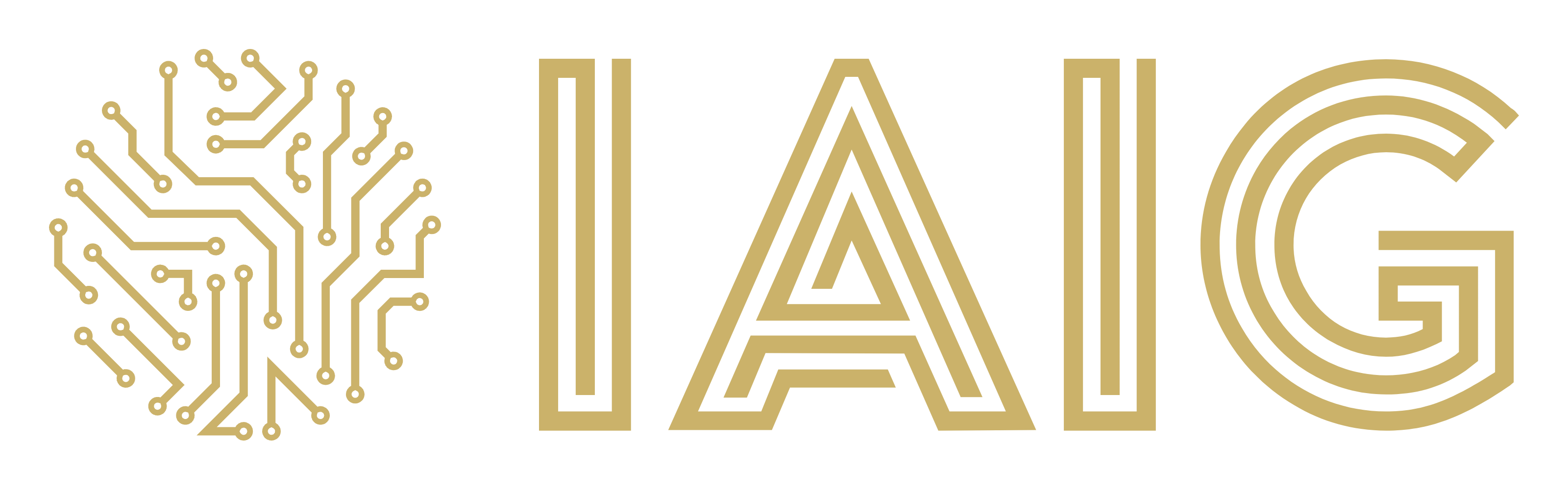 Institute of AI Governance